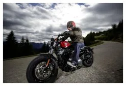 AJS WATSON WAXCOTTON SZ48 10 AJS WATSON WAXCOTTON SZ48 -Textile Clothing Popular Shop 9e.87.64.AJSWatsonWachscottonoliv212266210RED0217